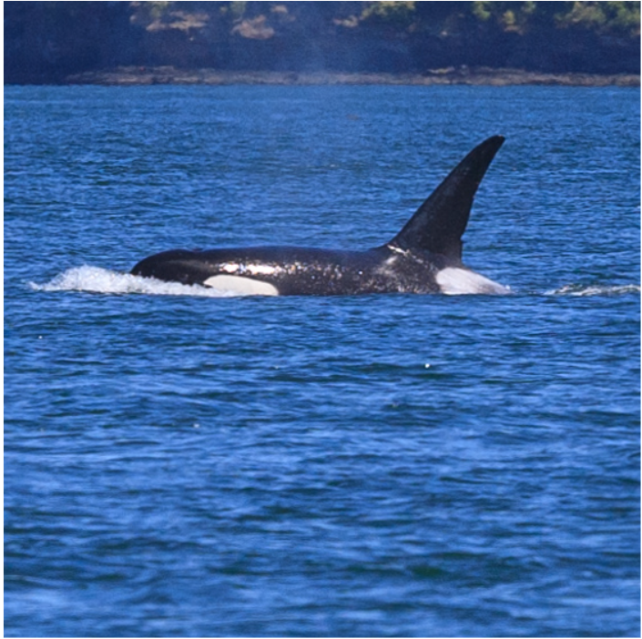 Orcas Island Trip
