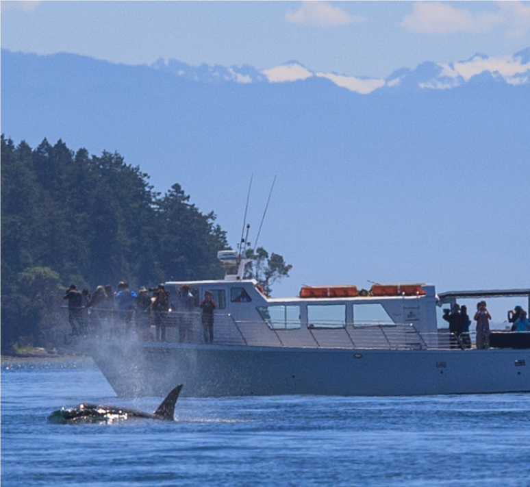 Orcas Island Trip